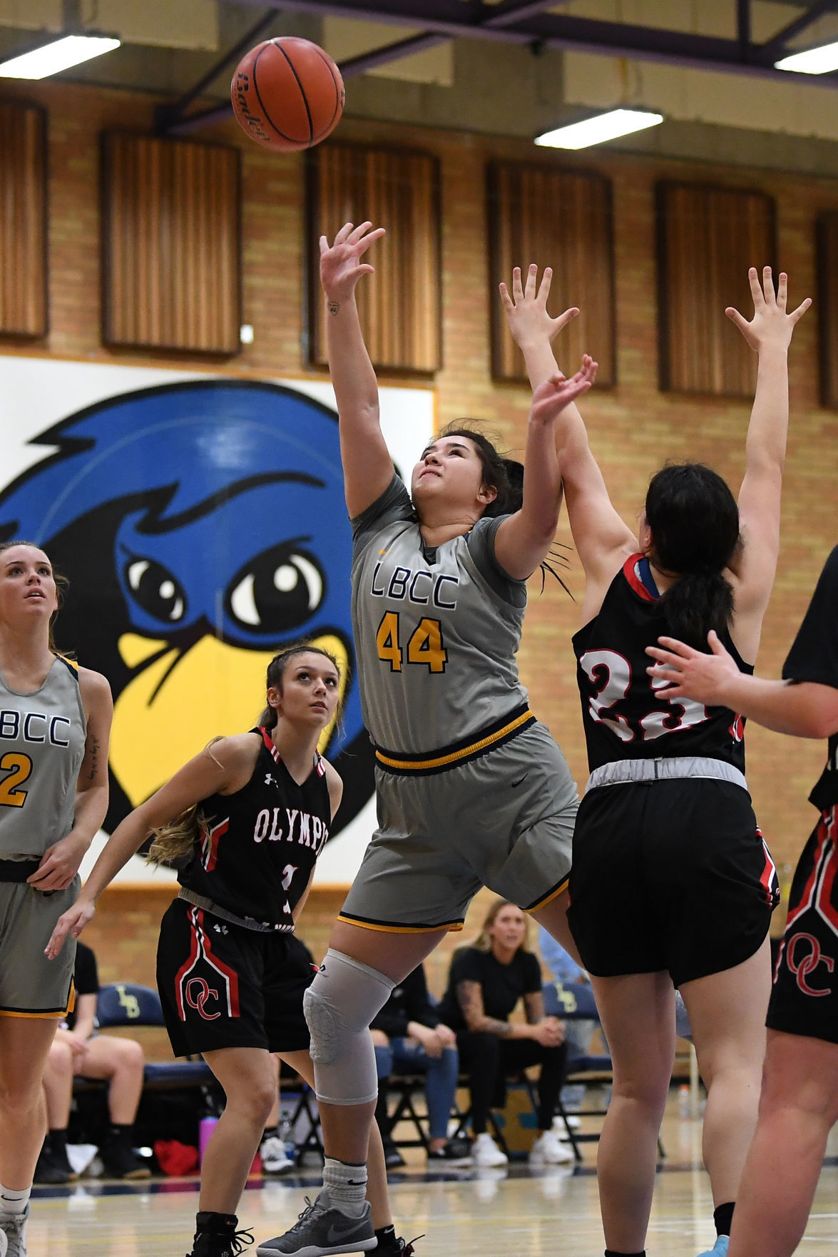 122019-dh-gallery116-spt-lbcc womens bb-leonn.JPG